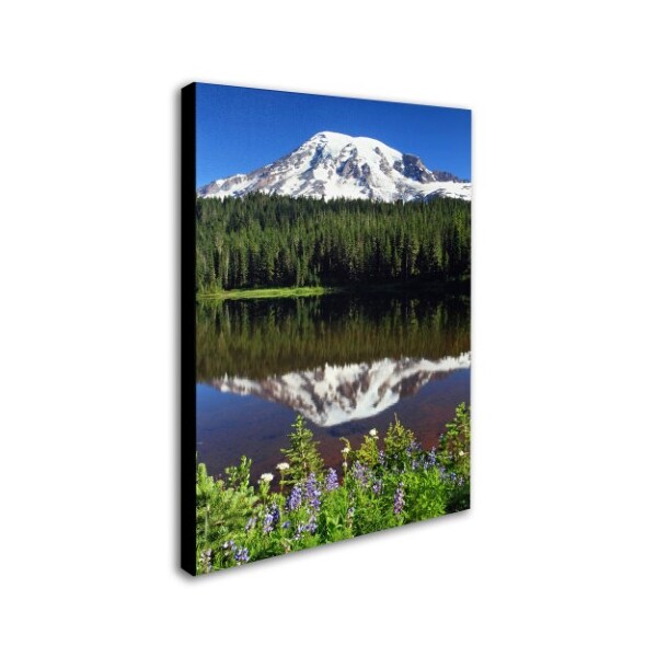 Pierre Leclerc 'Rainier Wildflowers' Canvas Art,16x24